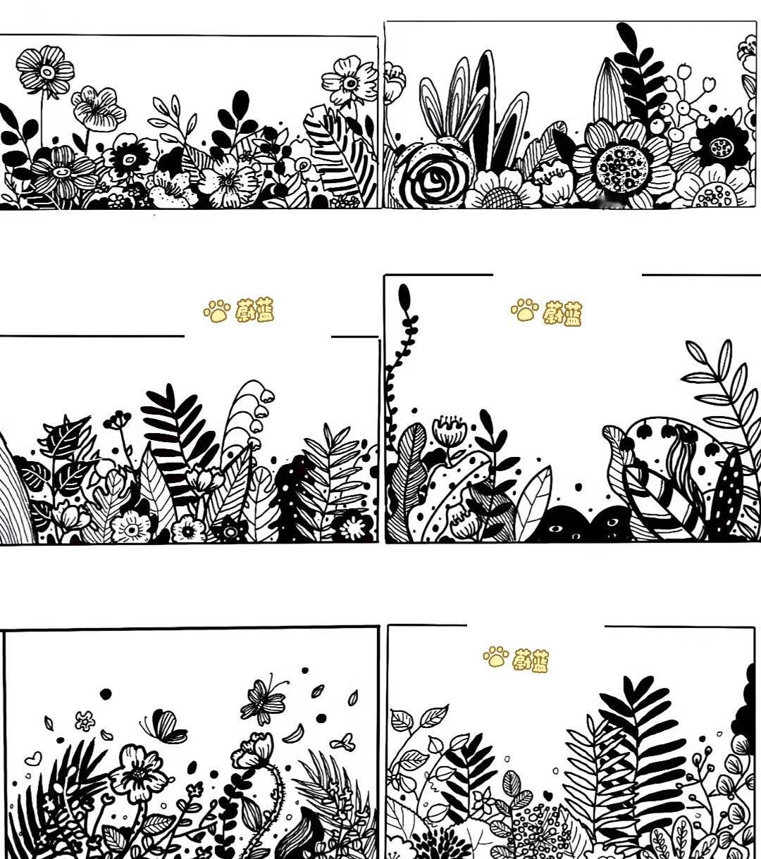 《一组植物装饰》教师招聘技能画
题 黑白装饰画 美术考编技能