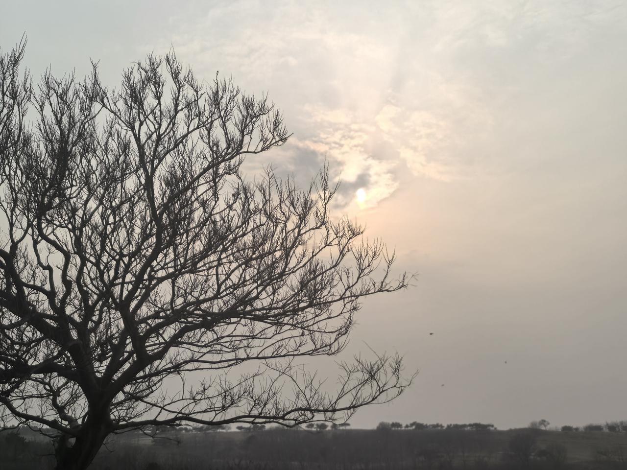 人生有四次改命的机会！
第一次：是生来便含着金汤匙，降落在家境优渥、和睦美满的家