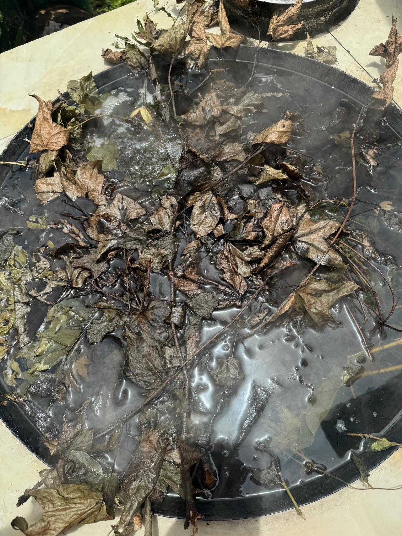 端午安康 小时候味道