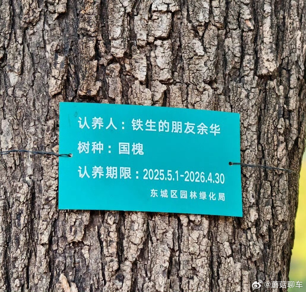 地坛公园不再允许用明星姓名认领树不喜欢这种狂热追星的粉丝行为，但是铁生和余华认养