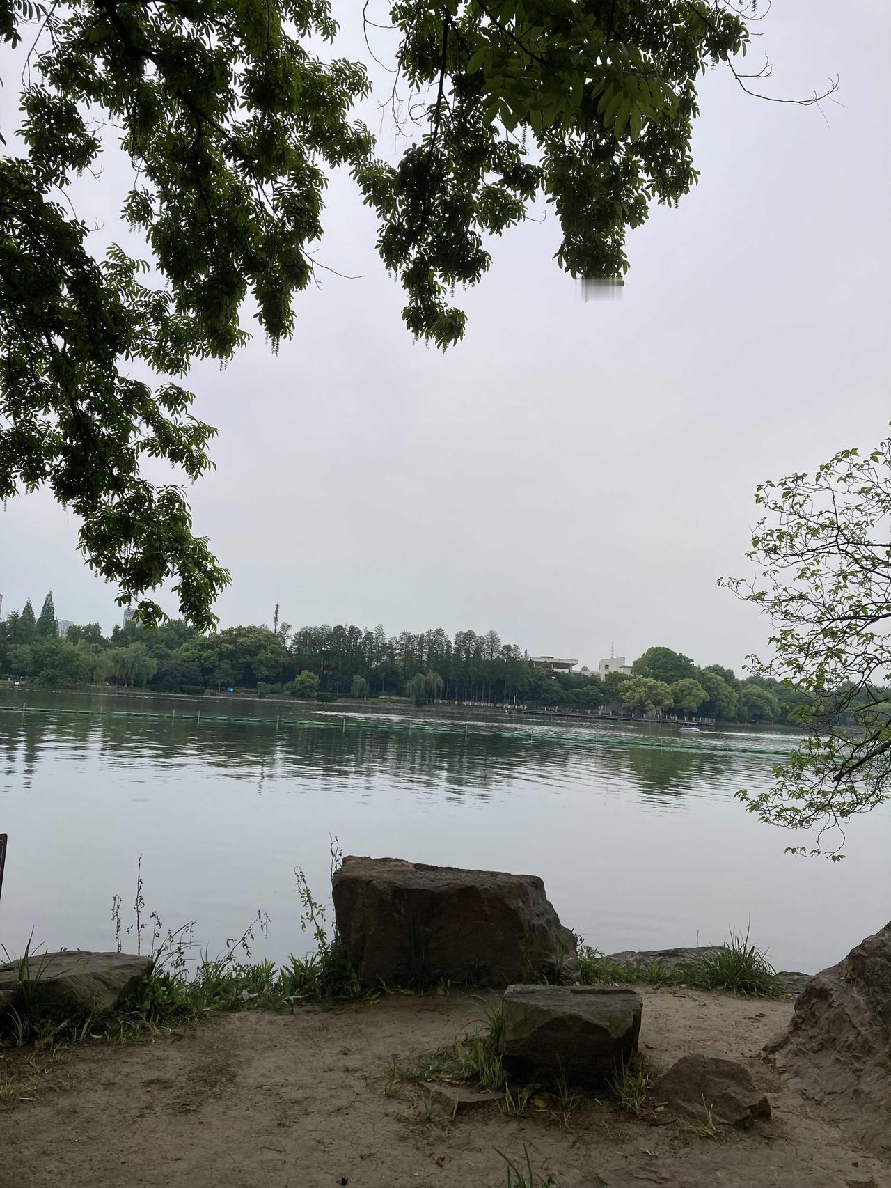 今天天气好，像是在过夏天，四点到达公园。不得不说公园里氧气很充足，放眼望去，整个