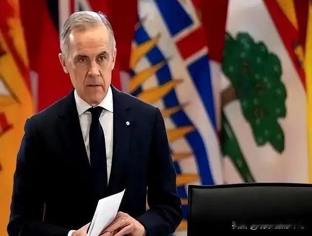 这次加拿大对美国的贸易霸凌坚决说不，对等反制，引发全球轰动，这是全球第二个对美贸