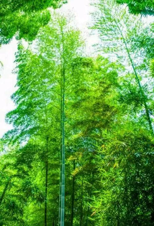 #为何《易经》会被人说成是封建迷信#