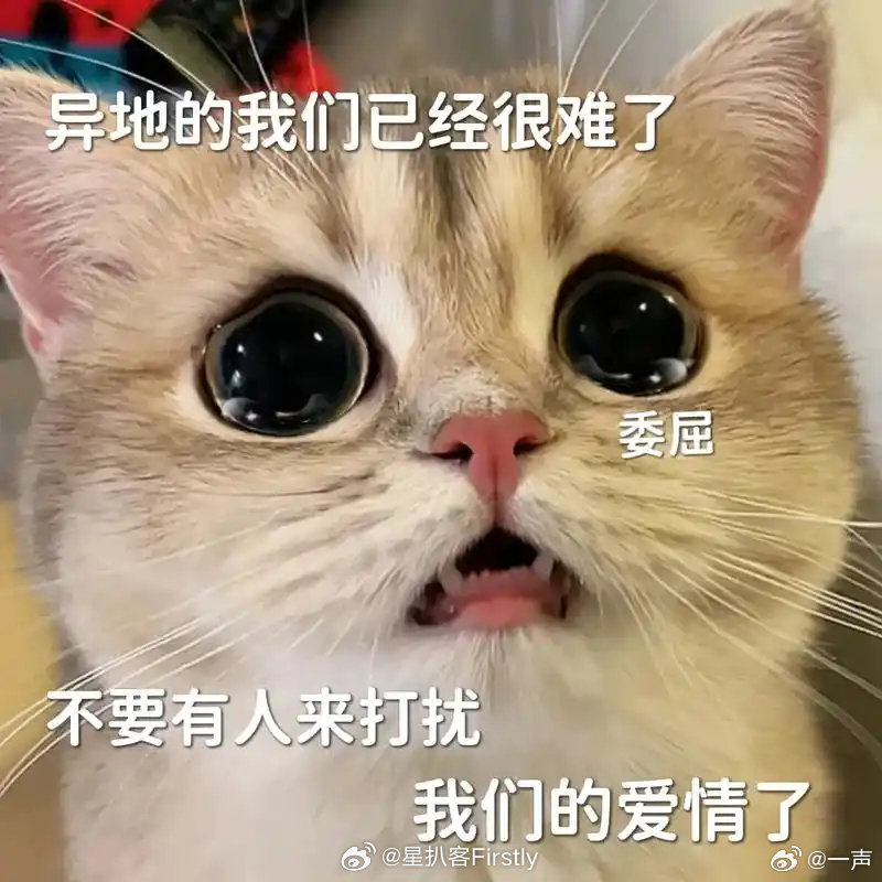异地恋都发展到这地步了上海异地恋都发展到这程度了硬生生靠着死撑维持的发量，背地里