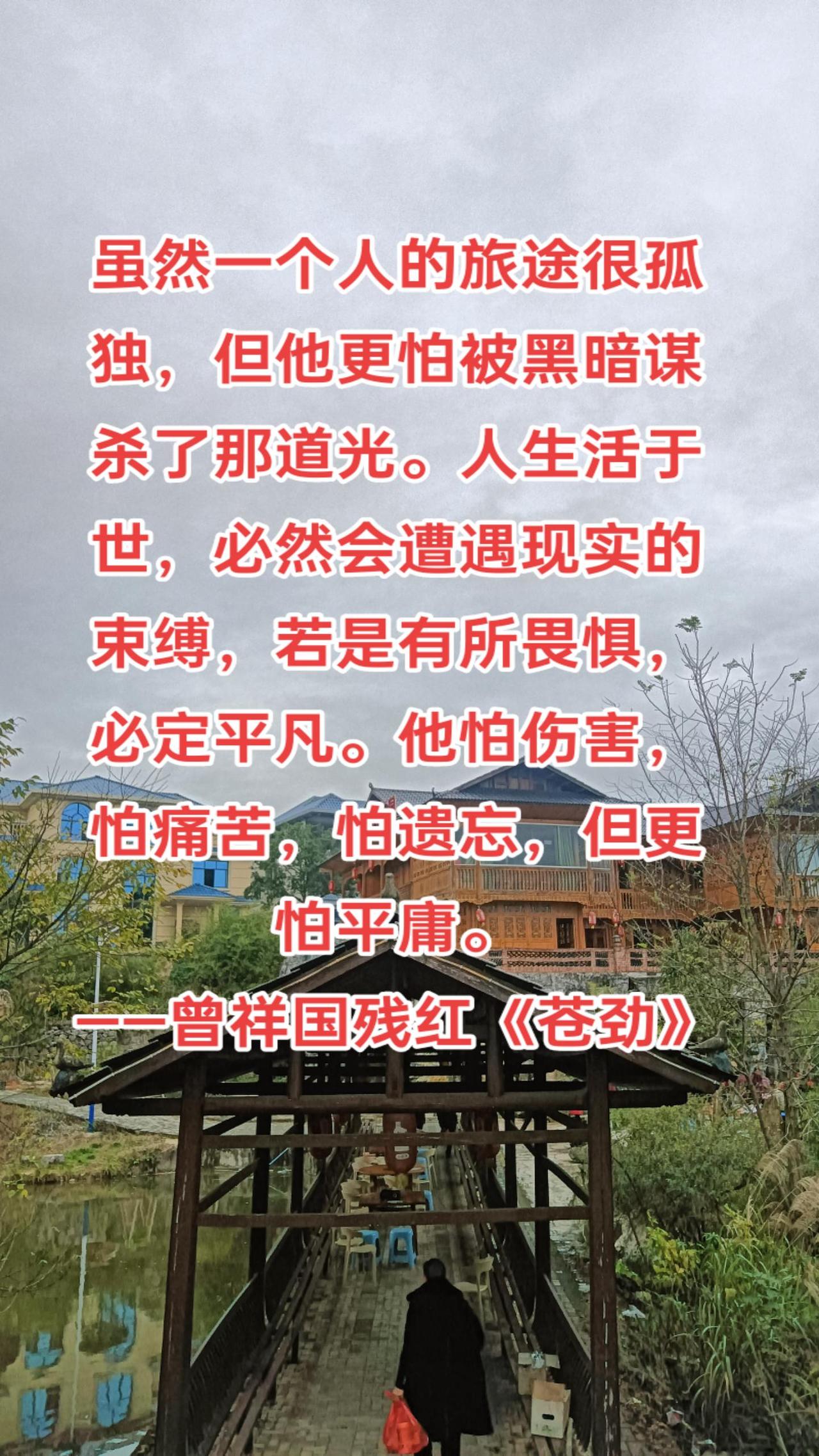 虽然一个人的旅途很孤独，但他更怕被黑暗谋杀了那道光。人生活于世，必然会遭遇现实的