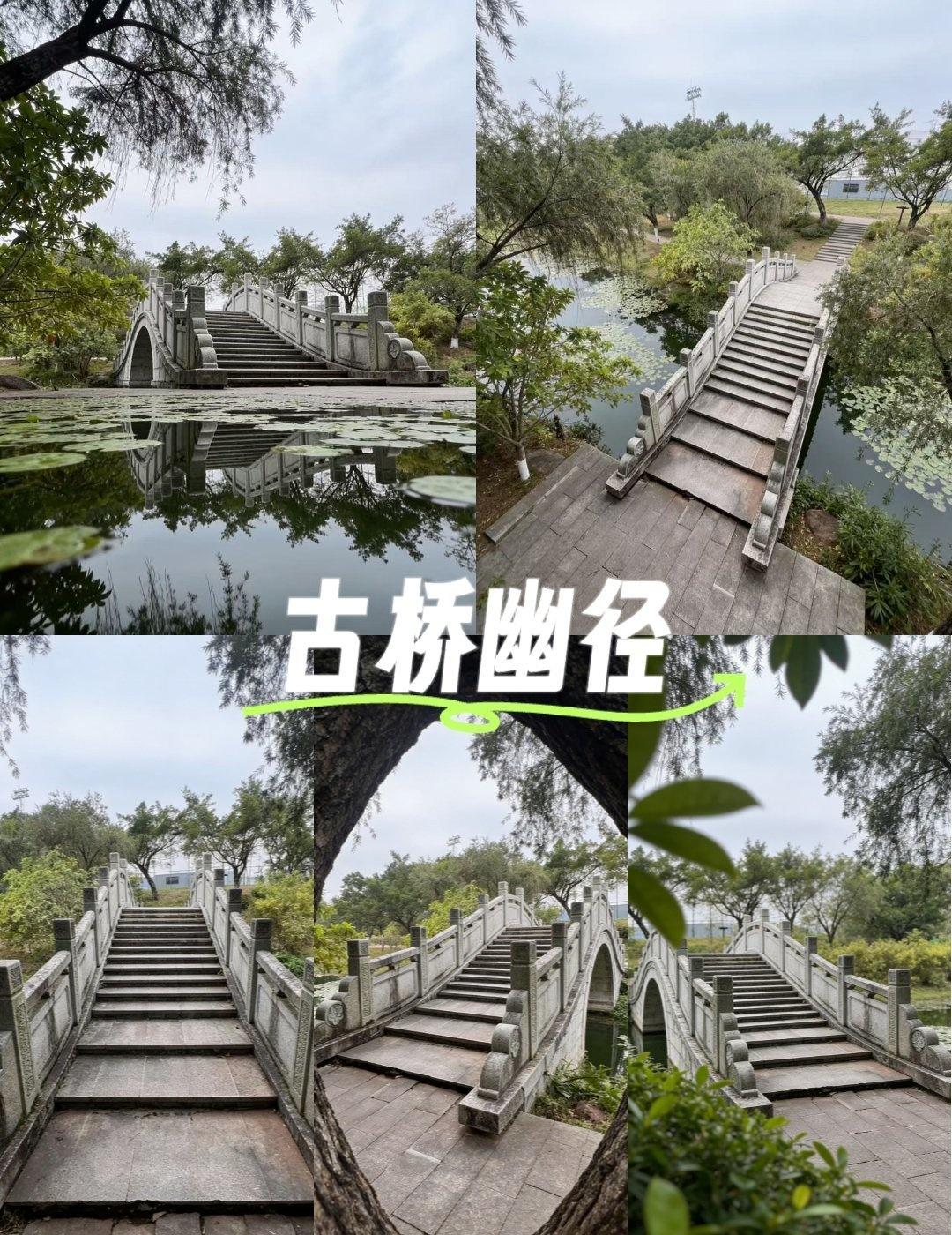 广州中心湖石拱桥｜0元拍爆朋友圈
📍广州 中心湖公园-石拱桥
真心安利广州南三