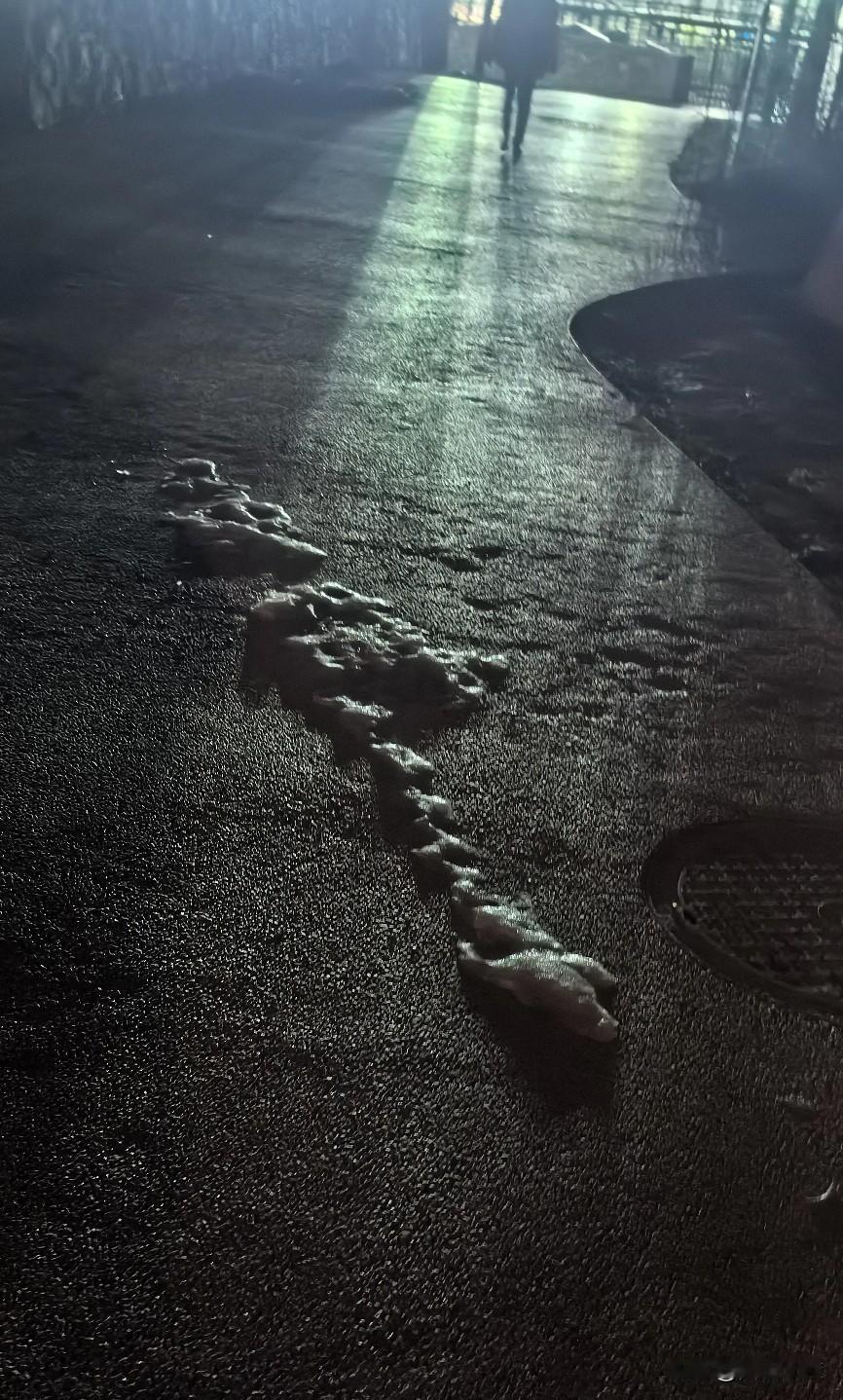 大晚上的，给我吓一大跳