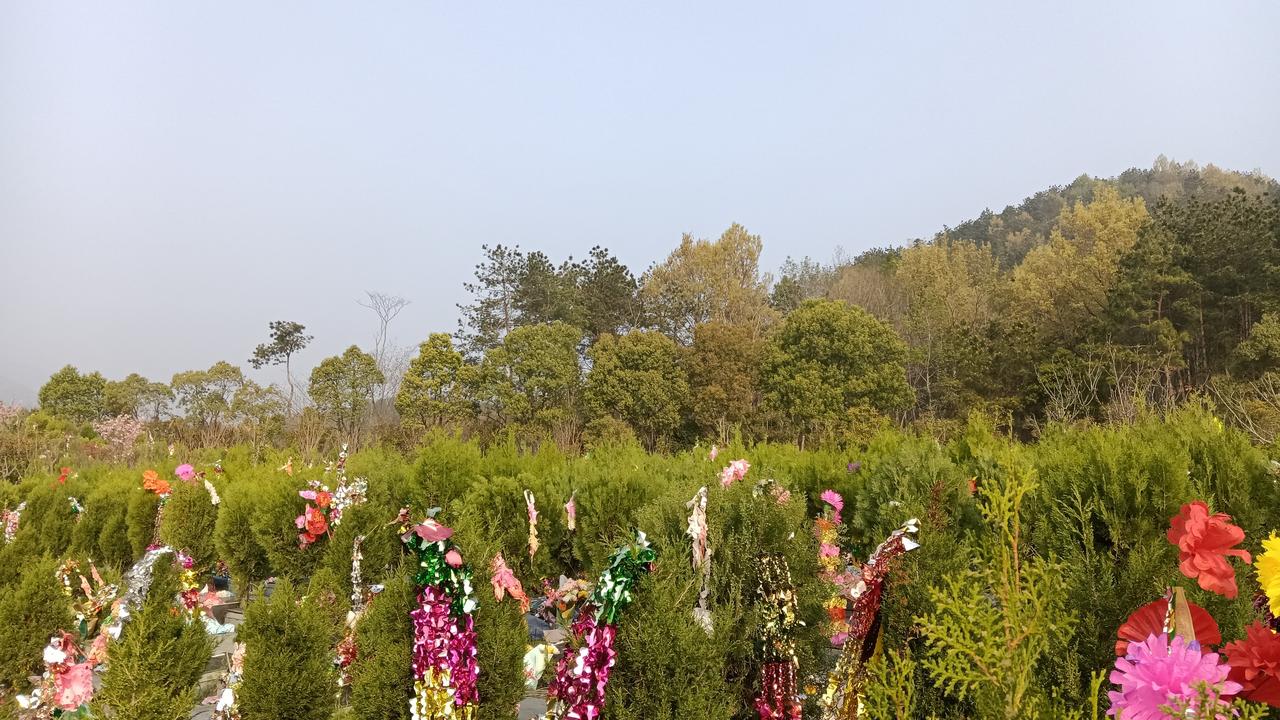 清明是春天里最重要的节日，愿天堂里的母亲一切安好，是我春天最大的心愿！