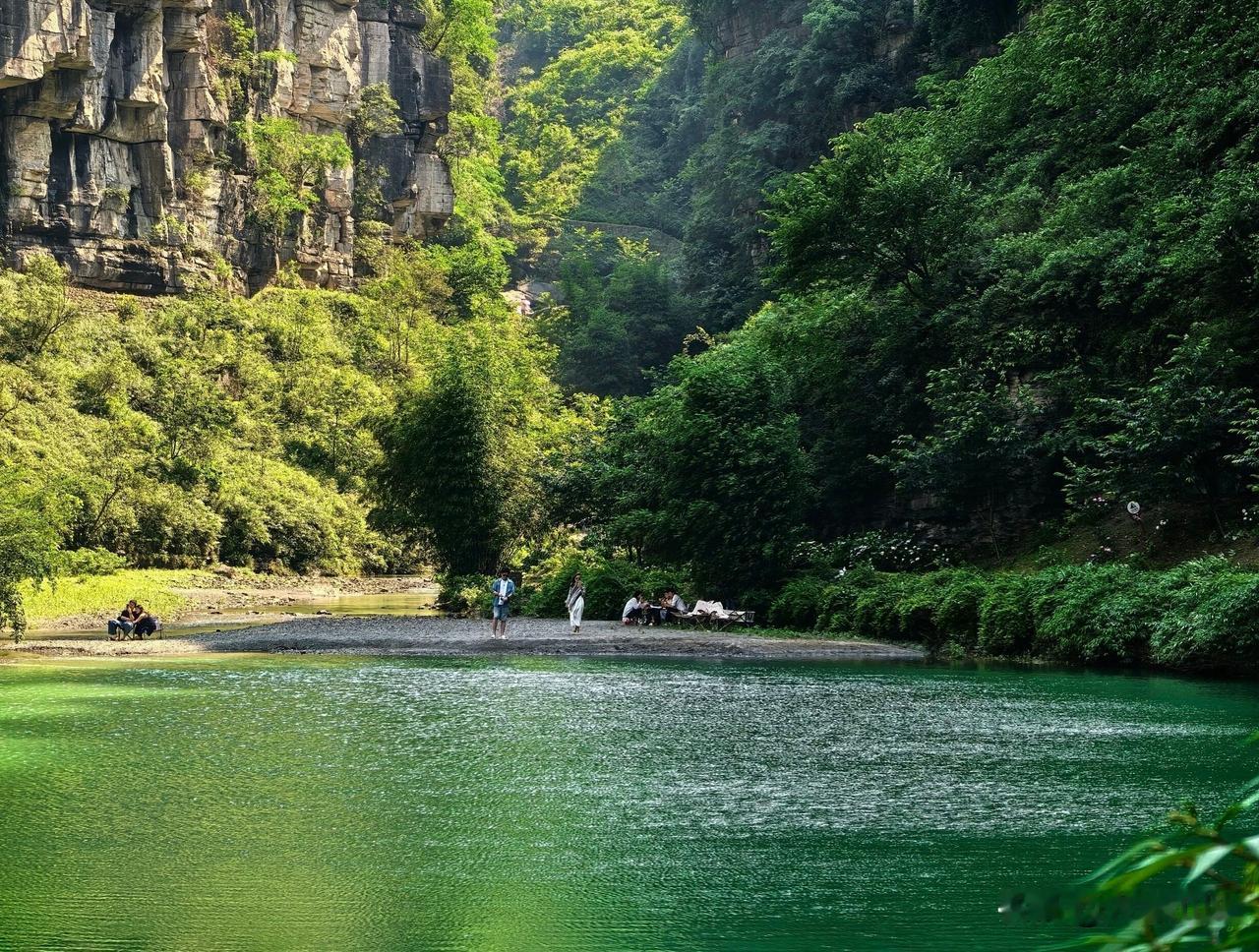 超治愈山间花海，南川万卷书台，美到沉醉不知归路
悬崖、奇峰、异石、森林、翠岚、瀑