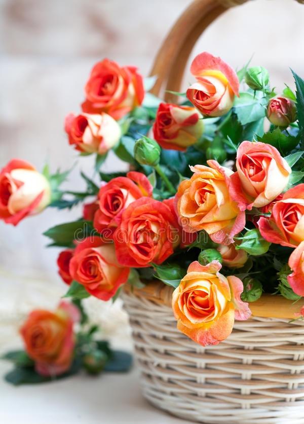 中国百家姓中，排名前八的姓氏：

第八名：“赵”，2870万人
第七名：“黄”，