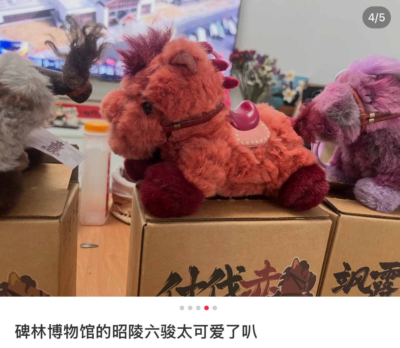 顺儿送别人的小马，宝宝你怎么有西安碑林区博物馆的联名小马，萌尿了