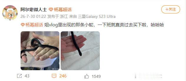 杨幂粉丝买下小黑蛇粉丝买下杨幂摸过的小黑蛇 太勇了姐妹 