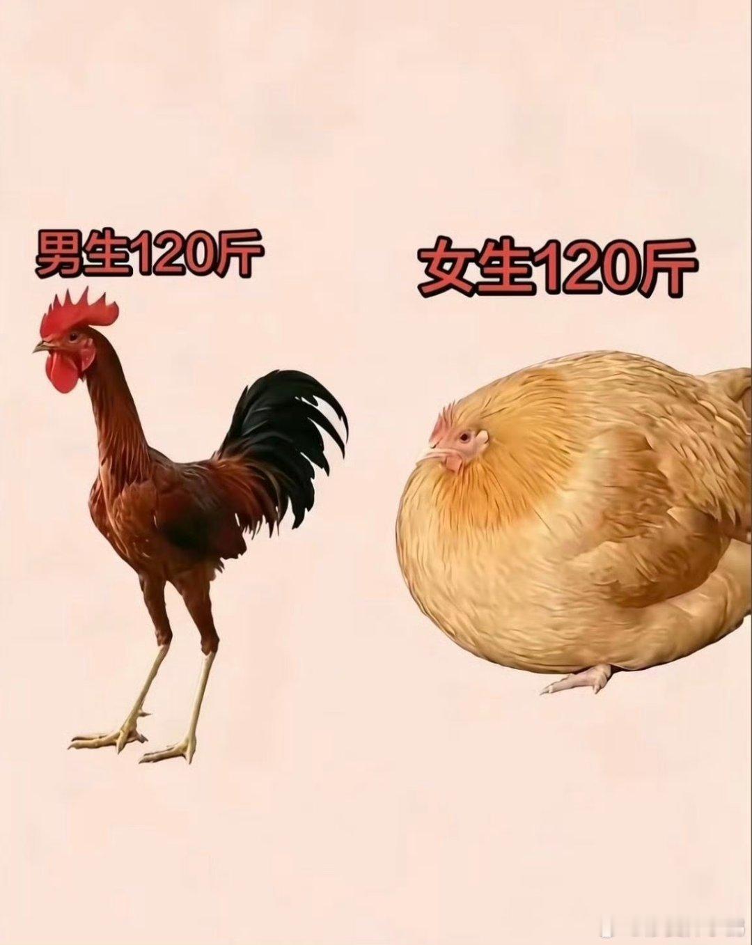 世界上最不公平的两件事太真实 这个世界压根就不存在绝对公平，只有相对公平~  ​
