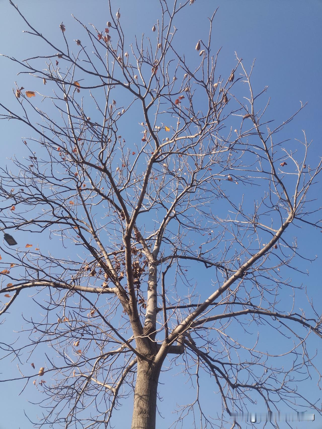 今年冬天的不同晒图笔记大赛 分享美好生活时刻