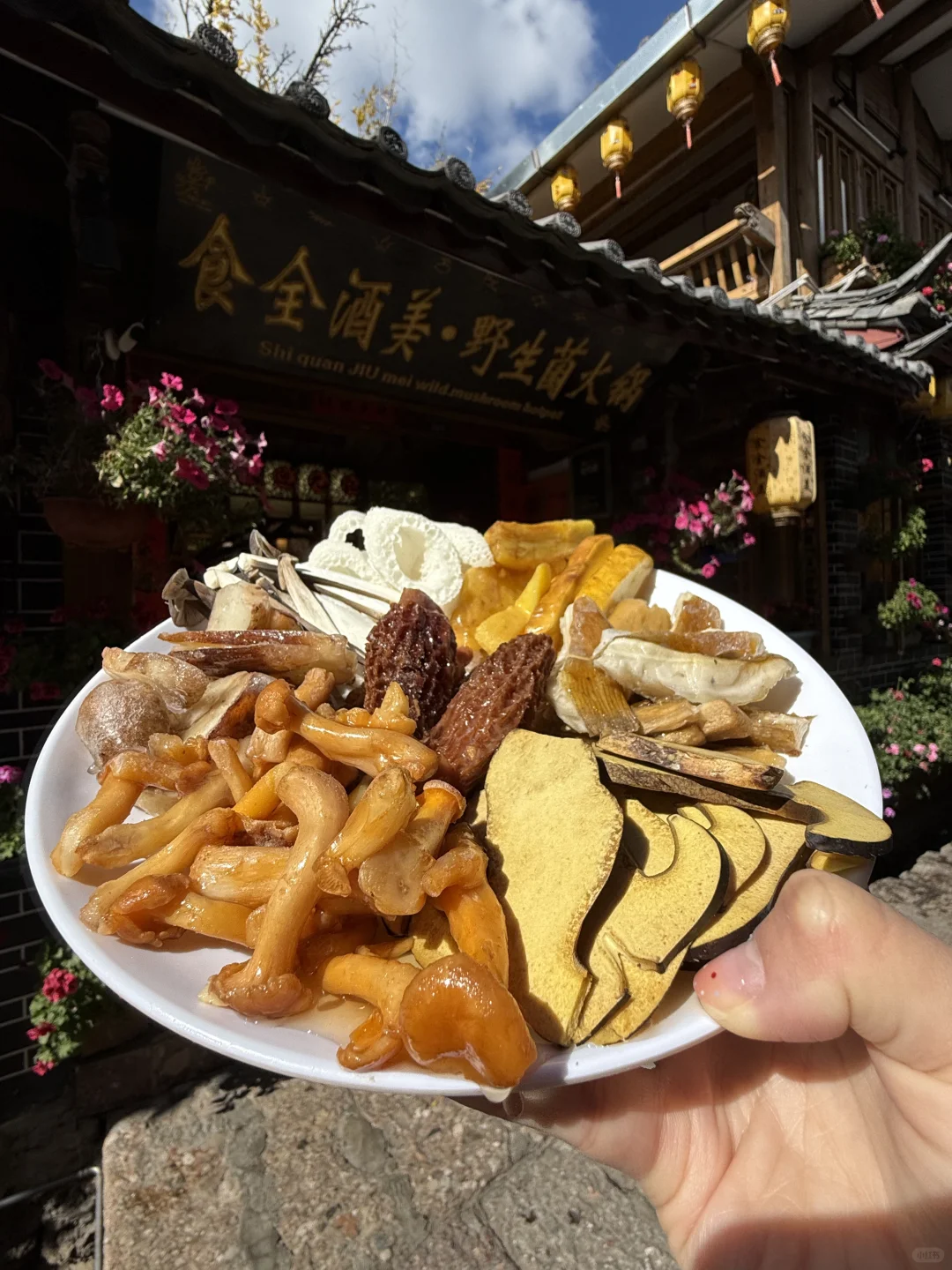 在丽江吃菌子！他家真的没有对手……