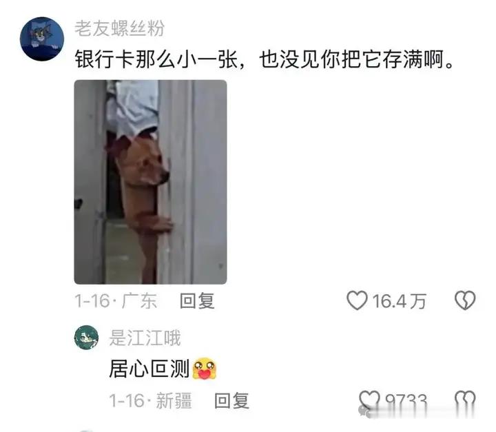 忠言果然逆耳 