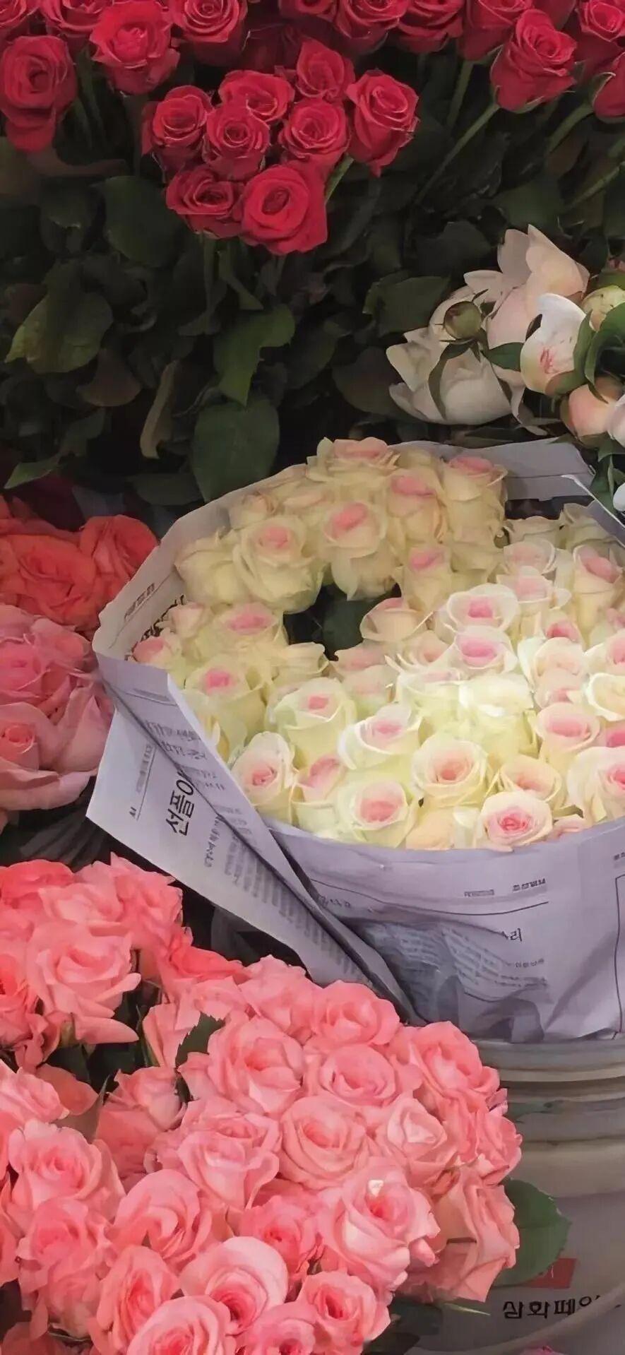 她以为爱就是完完整整独霸，像胃里一颗不敲壳的核桃，用一辈子消化。——简媜早安