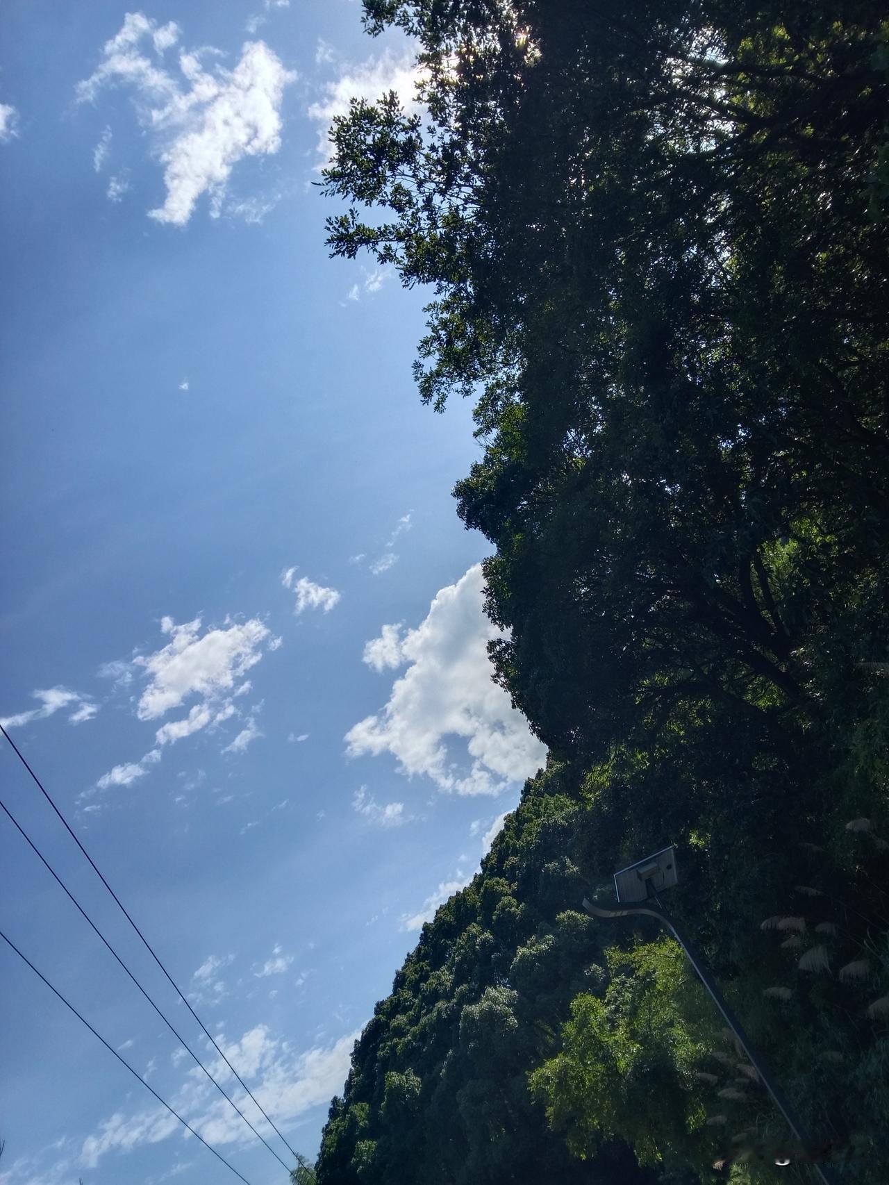 老许的事儿了结了，苦的却是那些投资者。他们当中不乏能力出众者，正千方百计，掘地三