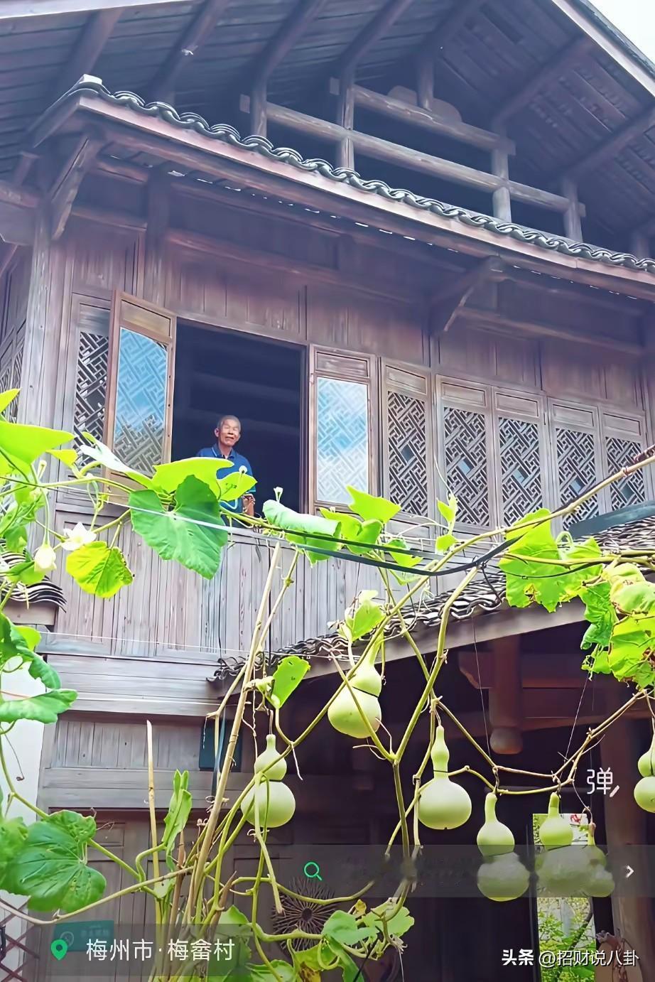 梅州有个老爷爷也种了葫芦，引来一些人打卡围观，老爷爷站在楼上和大家打招呼。

老
