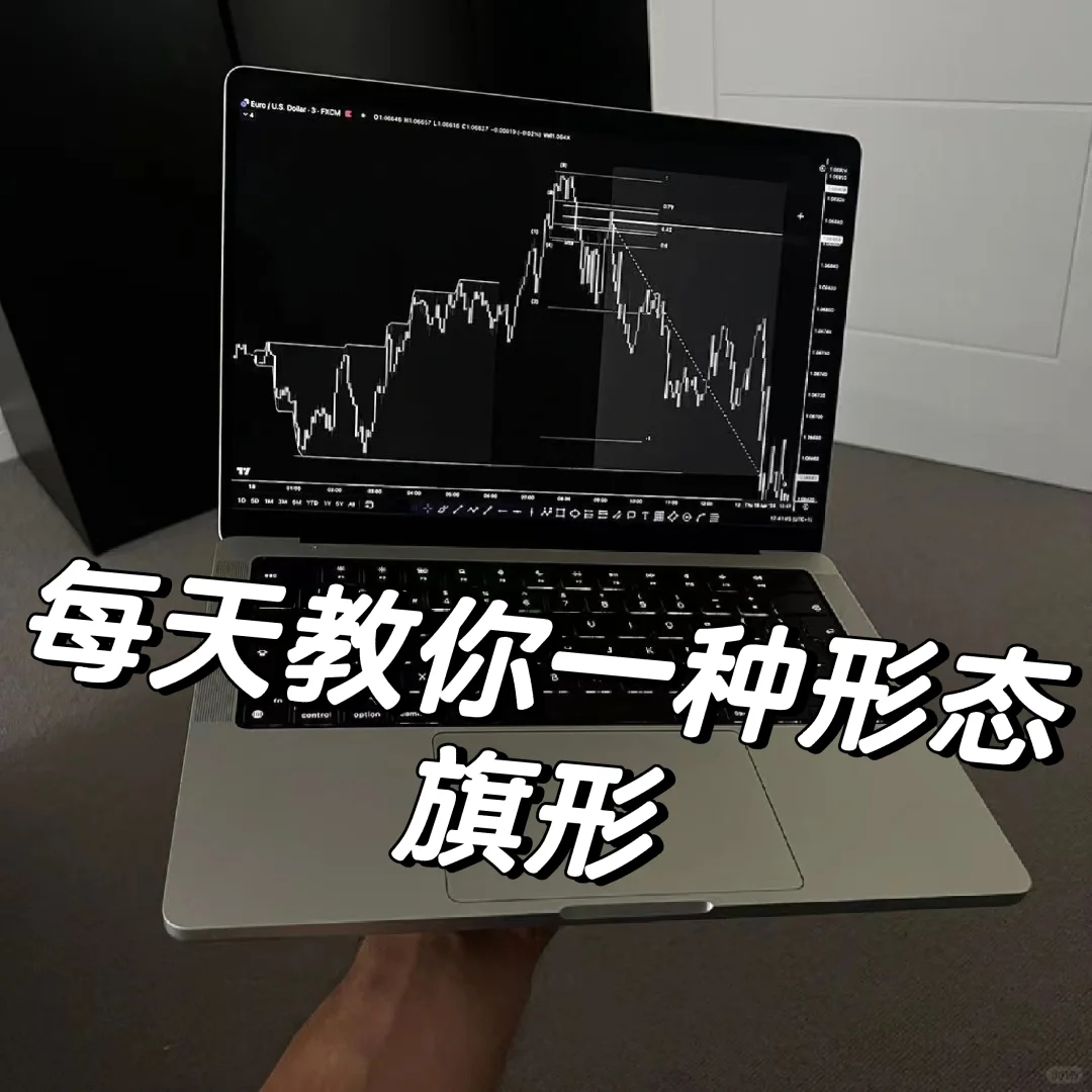 每天教你一种形态