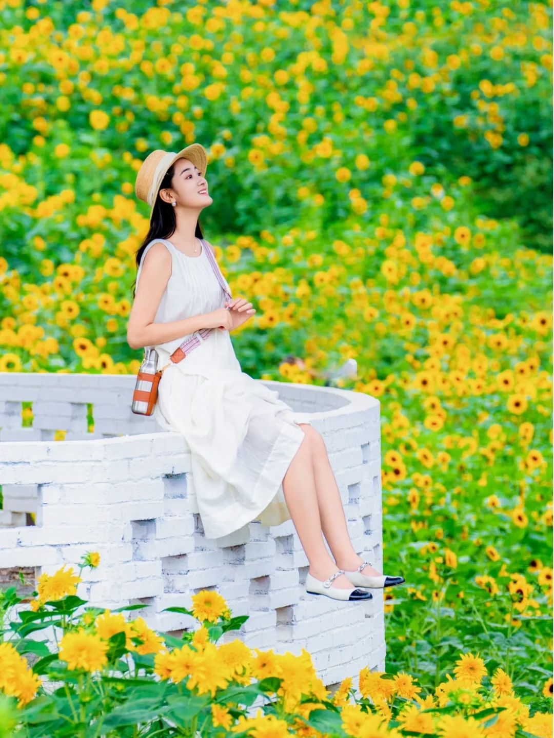 灿烂又明媚，🌻向日葵花海这样拍美翻了！！！