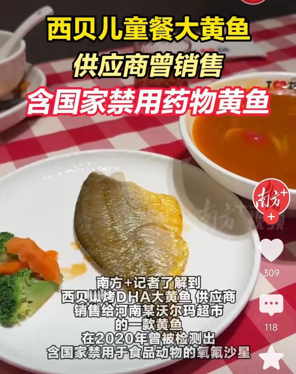 西贝儿童餐大黄鱼供应商被扒!曾销售含国家禁用药物黄鱼 ！
网友表示：
西贝塌房，