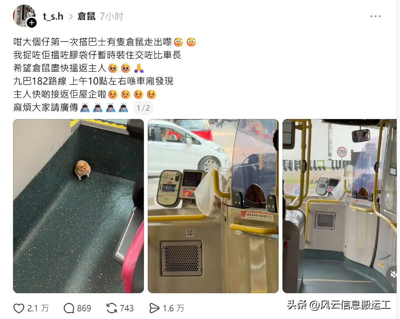 香港网友发帖，坐巴士遇到一只逃跑的仓鼠，把它抓住，找了个胶袋暂时装着，交给了巴士