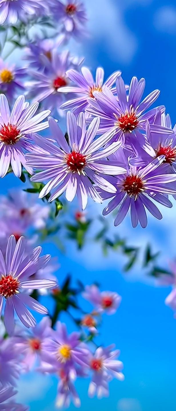 只要你慢下来，只要你等得起，只要你不比较，只要你能忘记，就是顶级的养生。