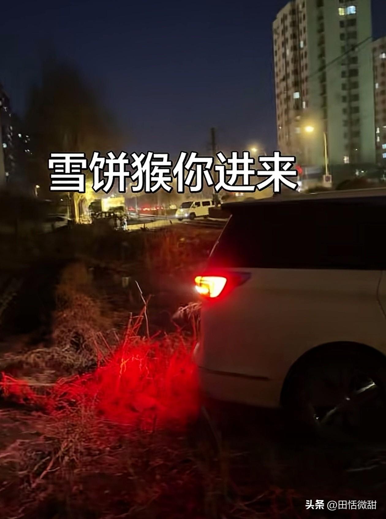 有人在网上喊话雪饼猴王铁柱，“为了看你，猛踩油，整沟里去了”，“雪饼猴你进来”。