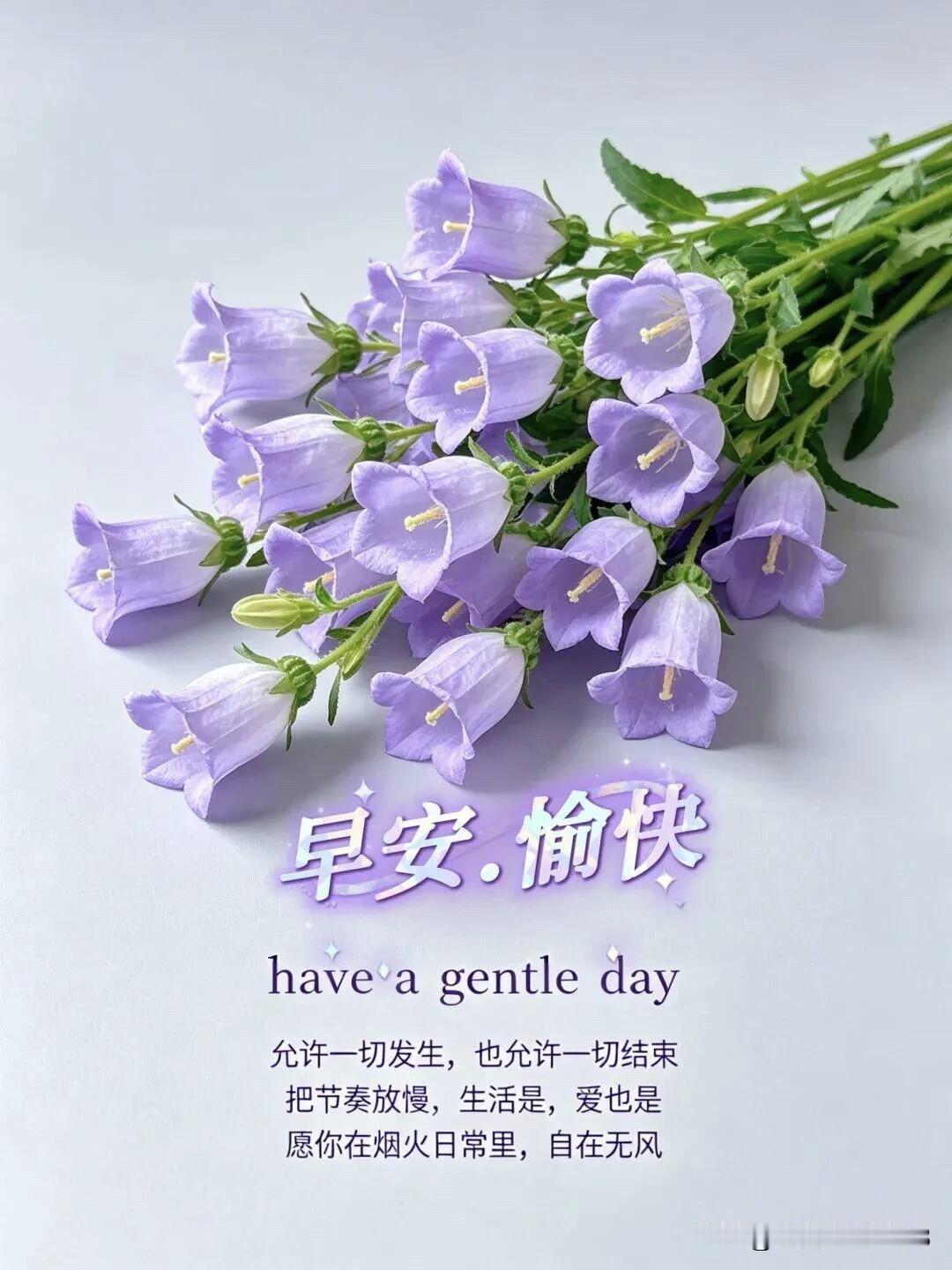 ²º²⁶/₀₇.₂₉ 周三｜一键复制发⭕，每个人都自带独有的光芒✨
① ✨ 专属