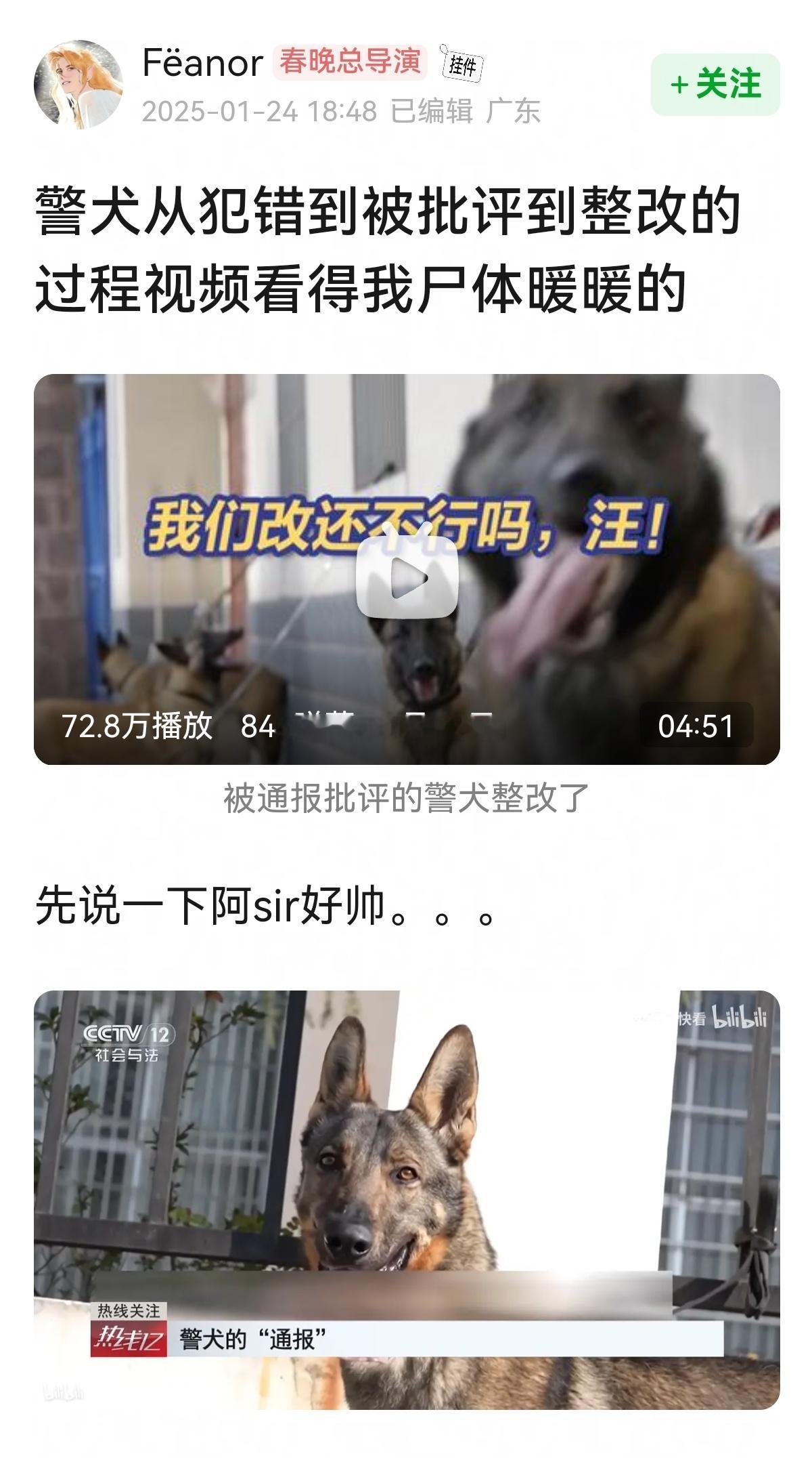 警犬从犯错到被批评到整改的过程视频（B站能看[打call][打call] 