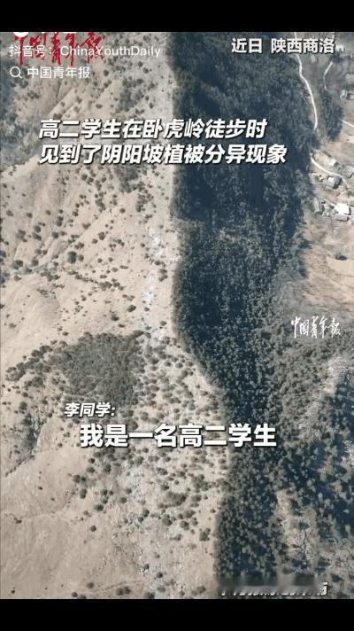 陕西，一名高二男生在卧虎岭徒步时，发现一座东西走向的山脉有着明显的植被分异现象，