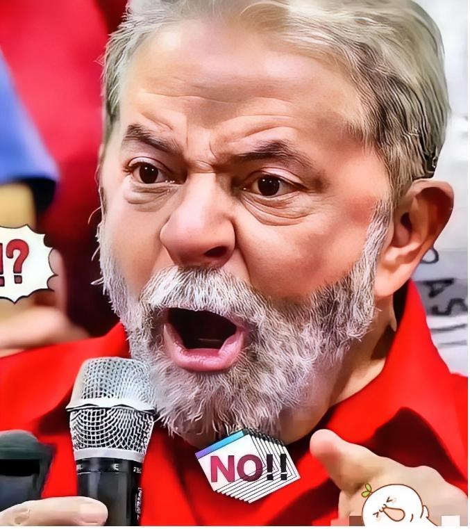 巴西这一刀砍得真狠啊！2026年4月6日，巴西外贸委员会一纸决定传遍全球，针对中