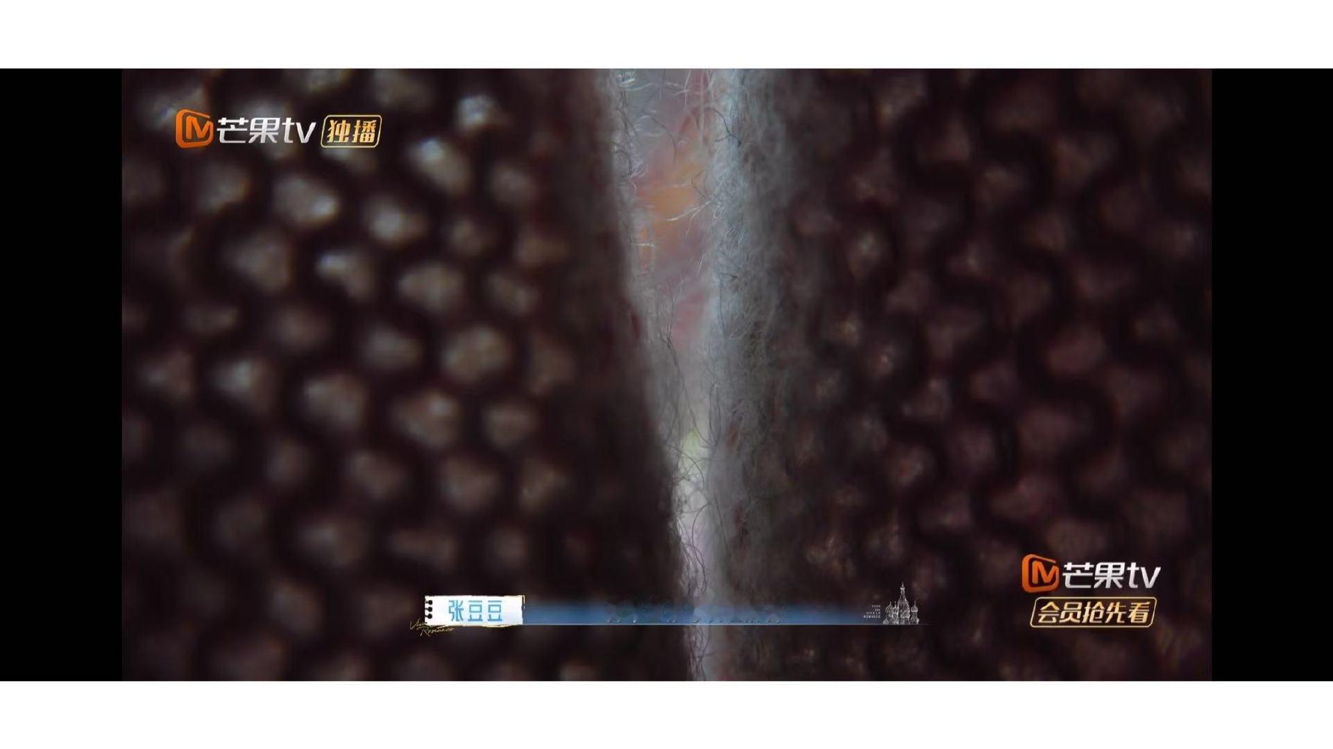 张豆豆没有拉孙杨手的原因张豆豆纳闷孙杨最不理解她 终于知道豆豆为啥不拉手了！她本