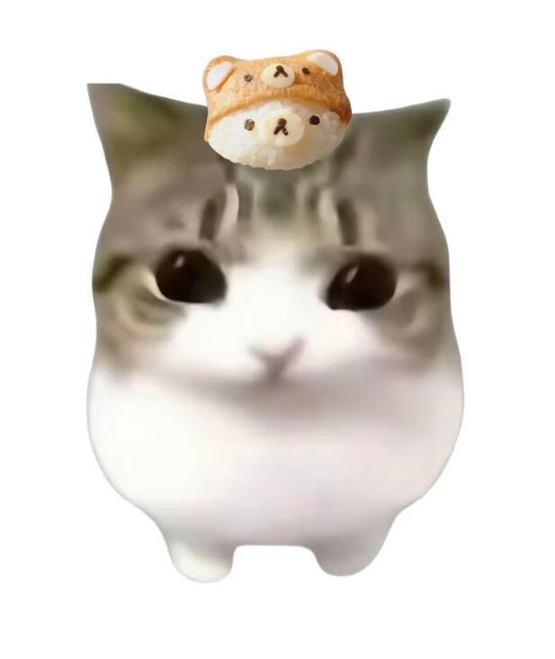 𝙒𝙚𝘾𝙝𝙖𝙩｜超萌妙脆角小猫头像 