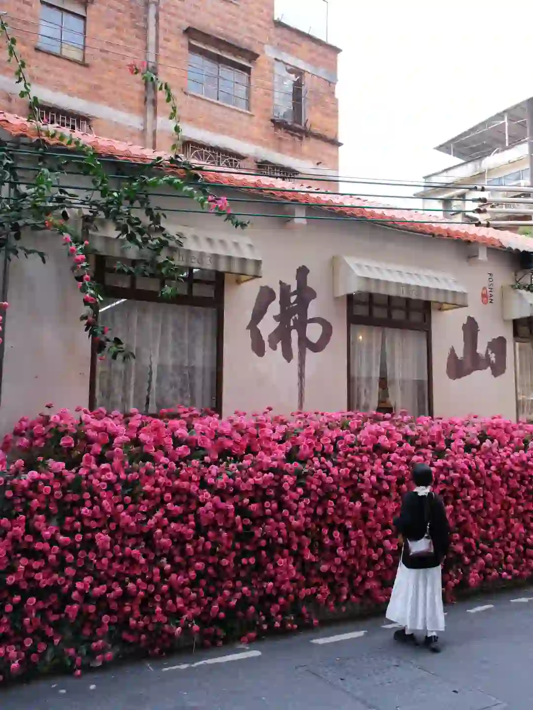 佛山➋日游！对自己的攻略满意的睡不着！