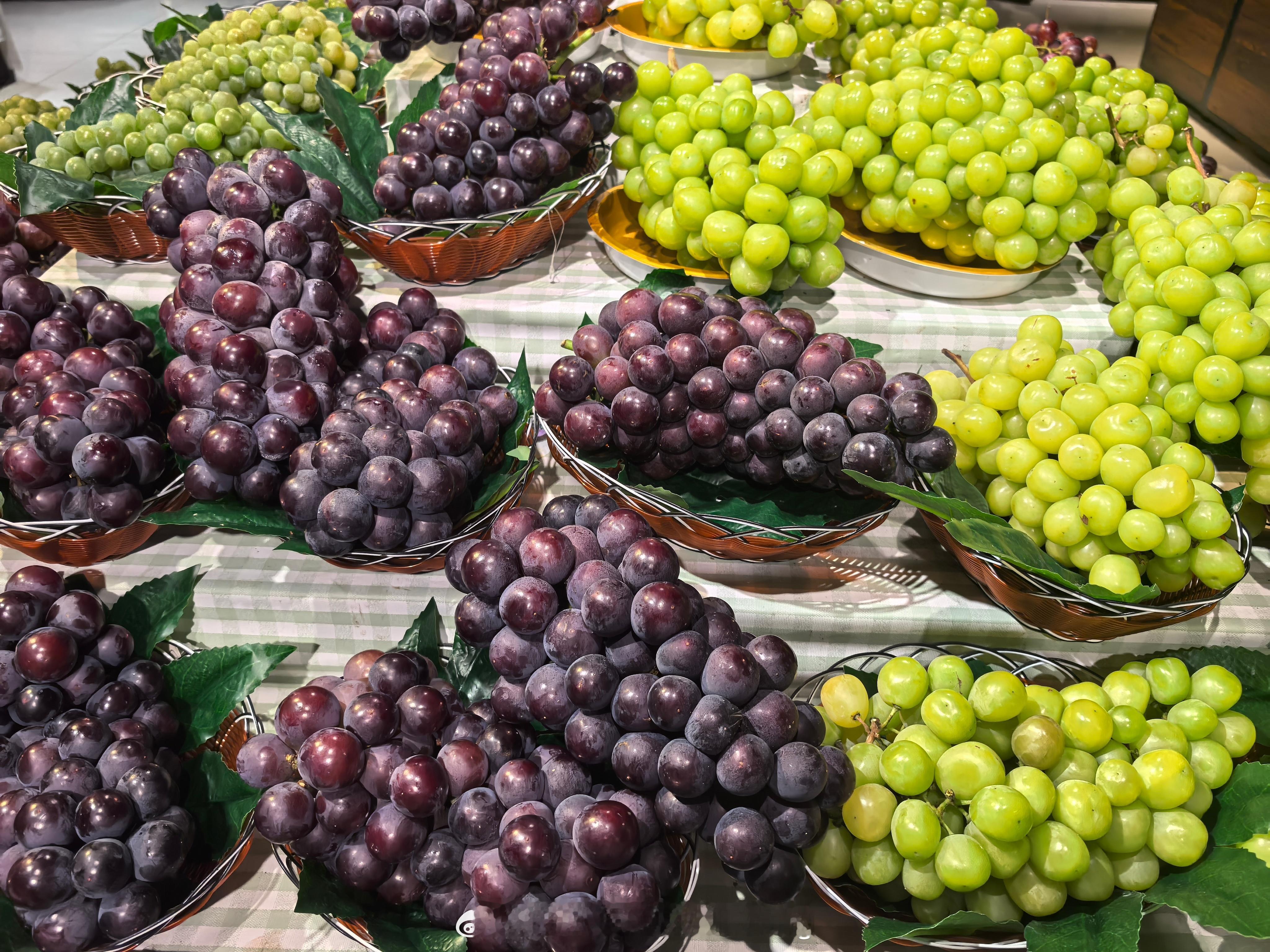 这个葡萄🍇看着很舒服，很有食欲