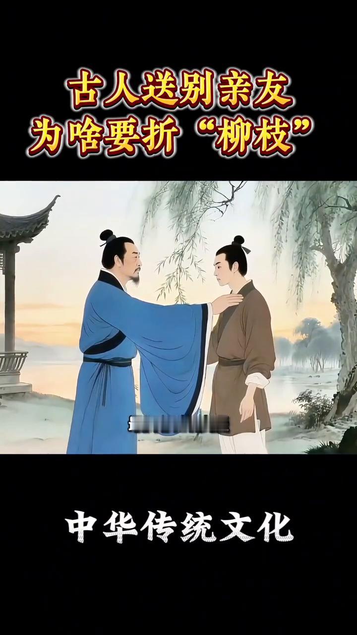 古人送别亲友为啥要折"柳枝"？
古人送别为什么要折柳？你有没有想过这样一个画面：