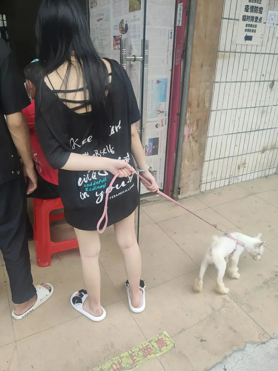 好可怜的小狗！