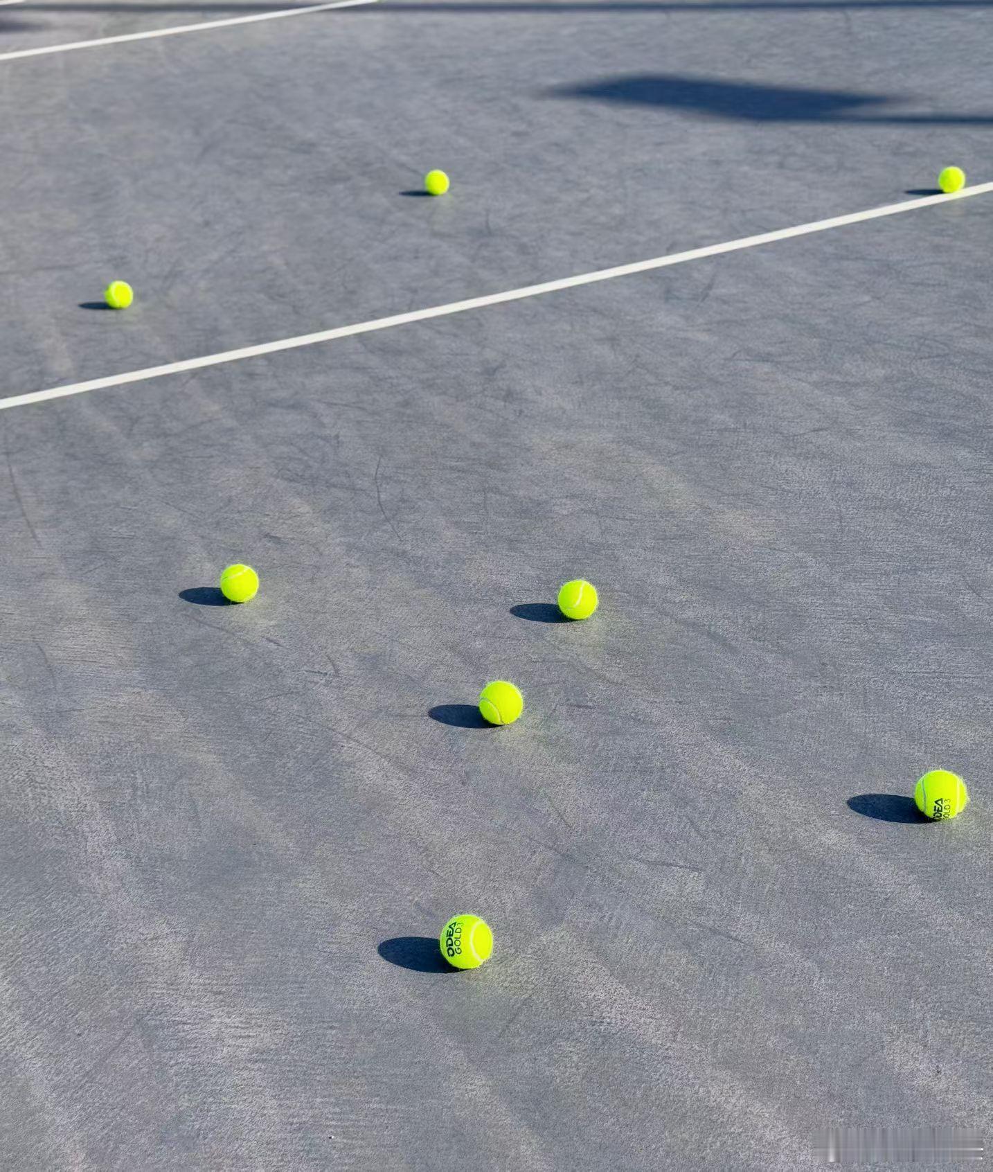 冬天这么好的天气……享受😌清晨·阳光·打球啦🎾 