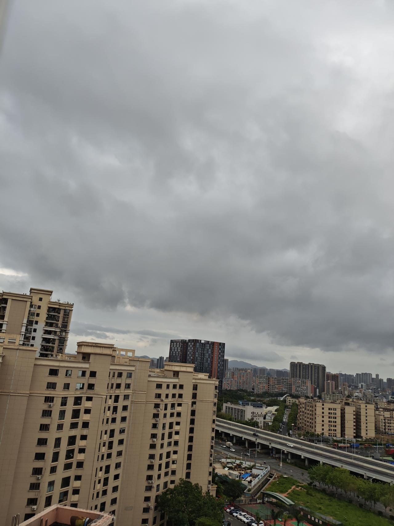 今早醒来第一个念头今早醒来第一个念头去看天气，希望今天是晴天，家里的卫生又要大搞