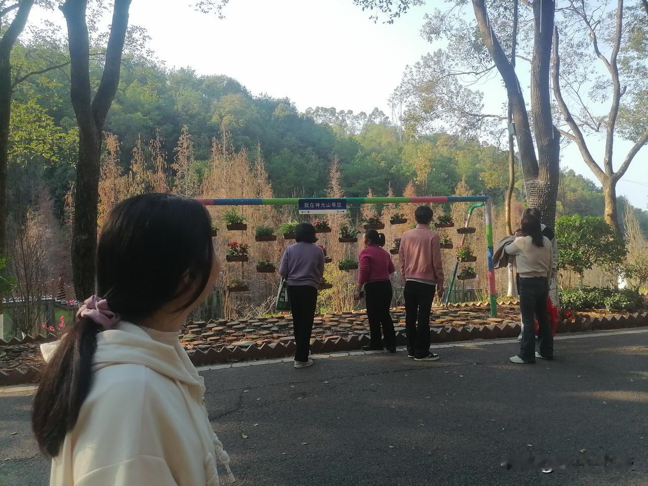 集卡领红包沐浴着神山之光，森林公园花开正旺，节日气氛非常浓厚。春节假期人们登山赏