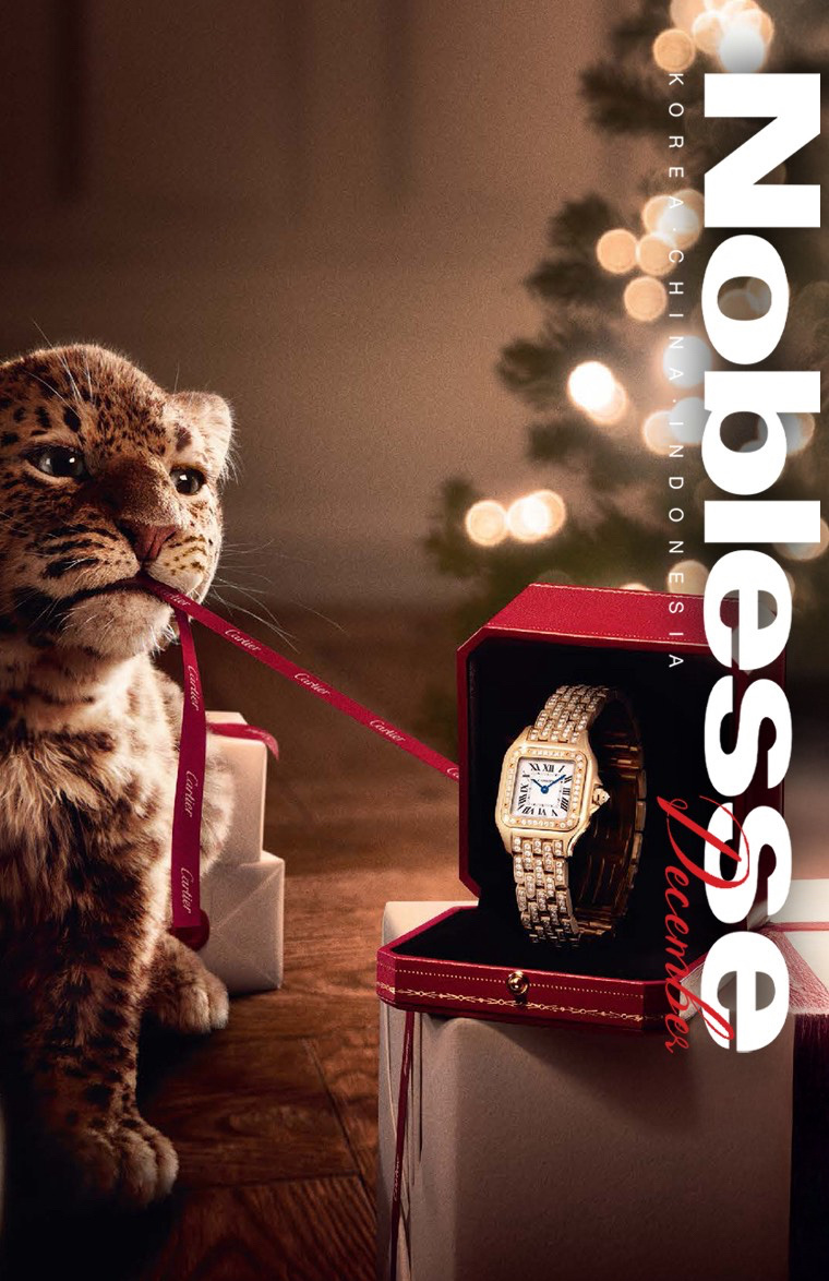 卡地亚小猎豹收获一张韩国杂志封面实在太可爱了