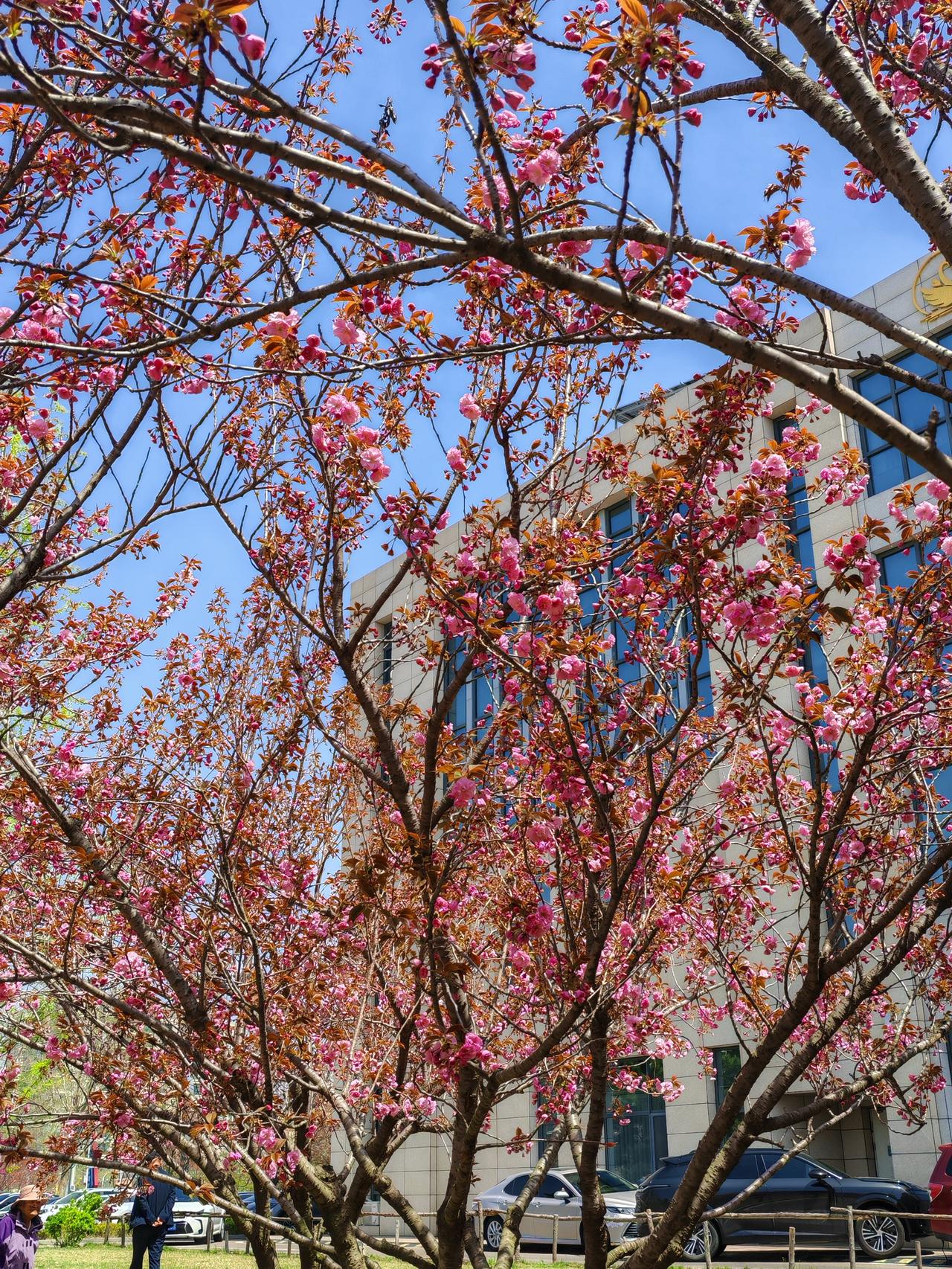 晒图笔记大赛以下阅读量已完成，不回访