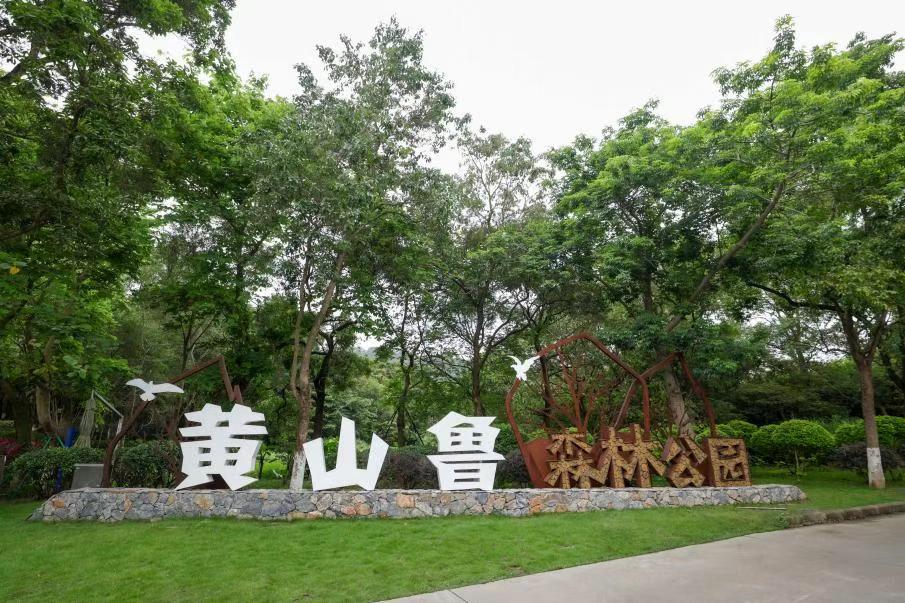 【黄山鲁森林公园真的要冲4A了！】近日，黄山鲁森林公园特邀行业资深专家团队，开展