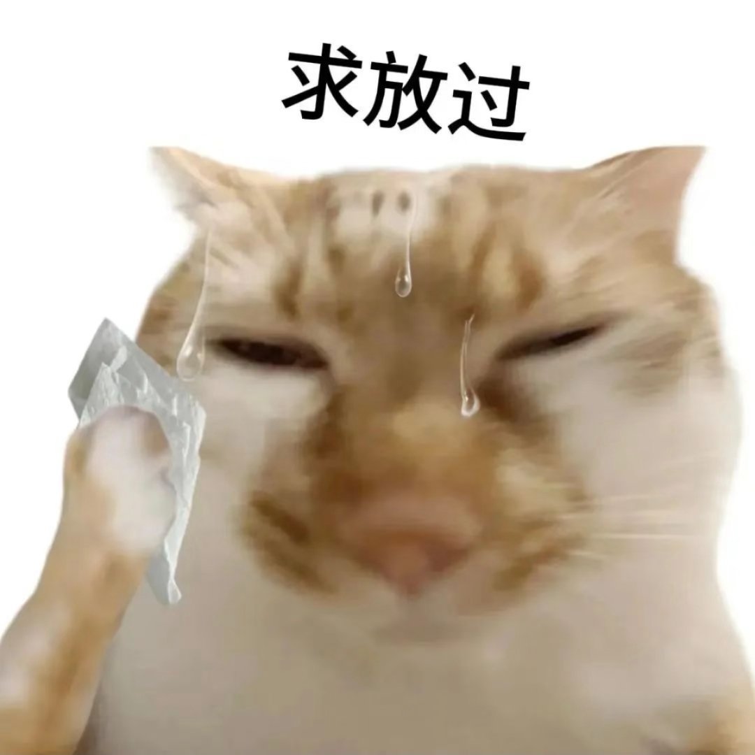 红b后就没好过 