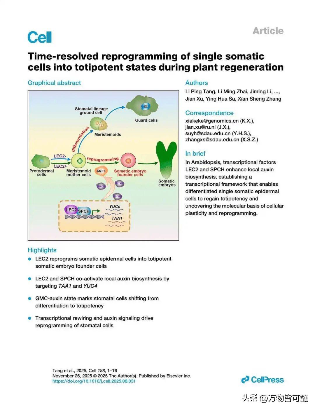 中国农业迎重大突破，成功揭示单个体细胞变完整植株的奥秘

核心提示：山东农业大学