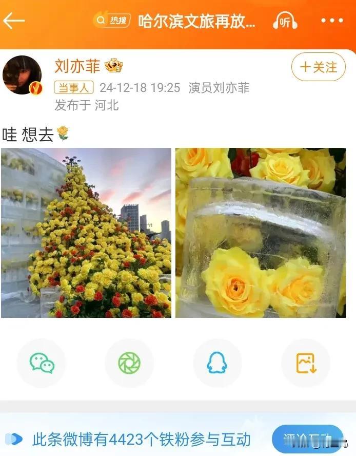 看来今年的哈尔滨旅游根本就冷不了，刘亦菲也想要去了，[捂脸]要去看他们做的冰封黄