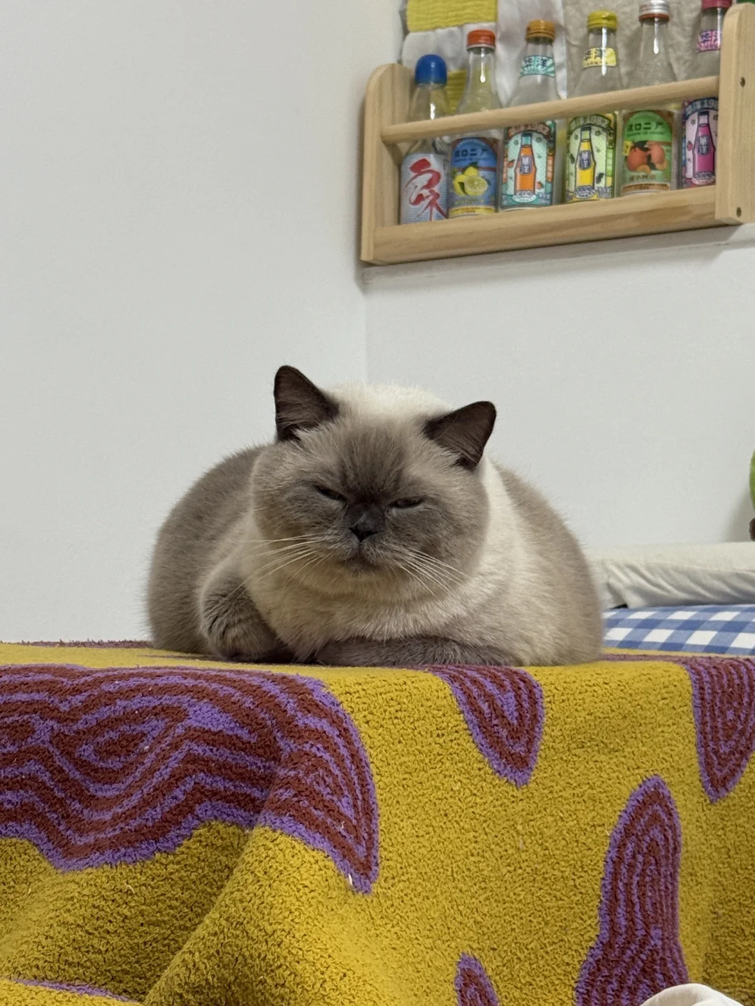 新鲜出炉的炭烤包子