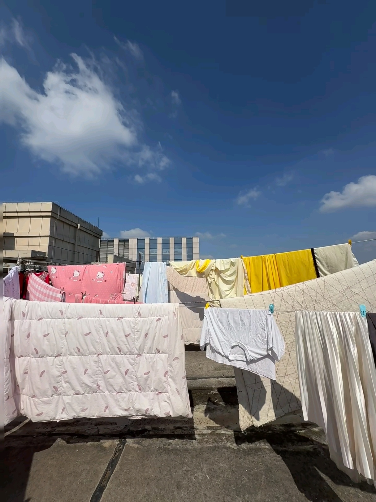 永远不会浪费任何一个大太阳，看到阳光明媚就想晒被子，看到自己的被子在太阳下暴晒就